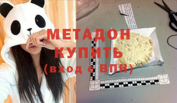 хмурый Пересвет