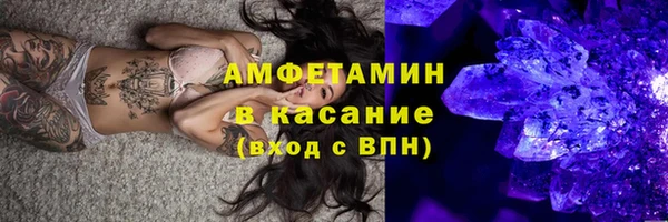 хмурый Пересвет