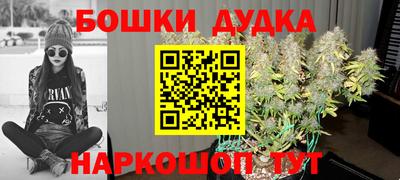 спиды Моздок
