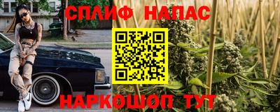 эйфоретик Можга