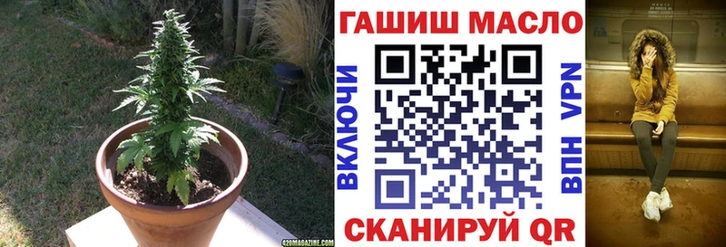 omg как войти  Еманжелинск  ТГК концентрат  купить  