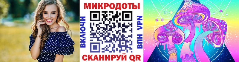 Галлюциногенные грибы Psilocybine cubensis  Еманжелинск 